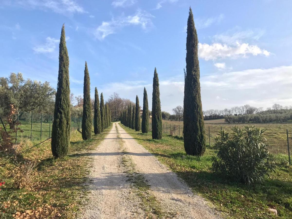 Agriturismo La Lampada Di Atena Vetralla Εξωτερικό φωτογραφία